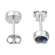 Abalone Shell Sterling Silver Stud Earrings - e364